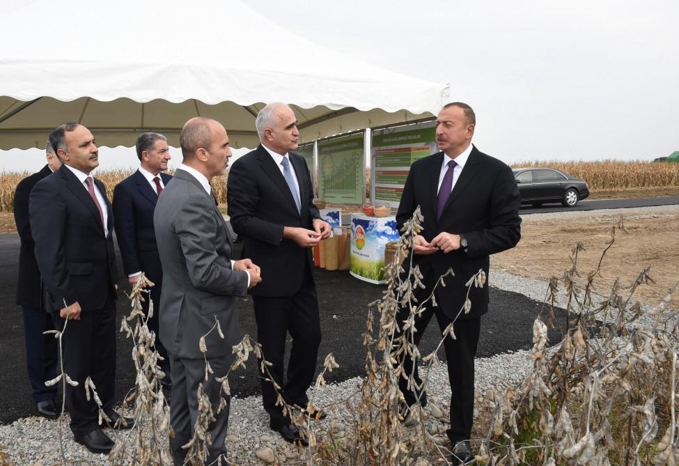 Ilham Aliyev visits “Qarabag Taxil” LLC pilot grain farm in Beylagan