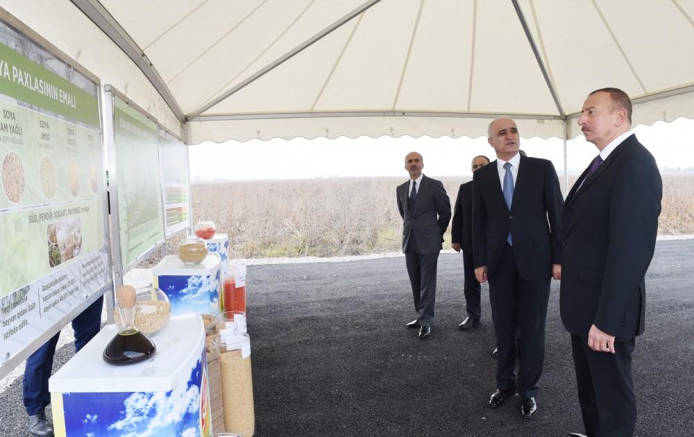 Ilham Aliyev visits “Qarabag Taxil” LLC pilot grain farm in Beylagan
