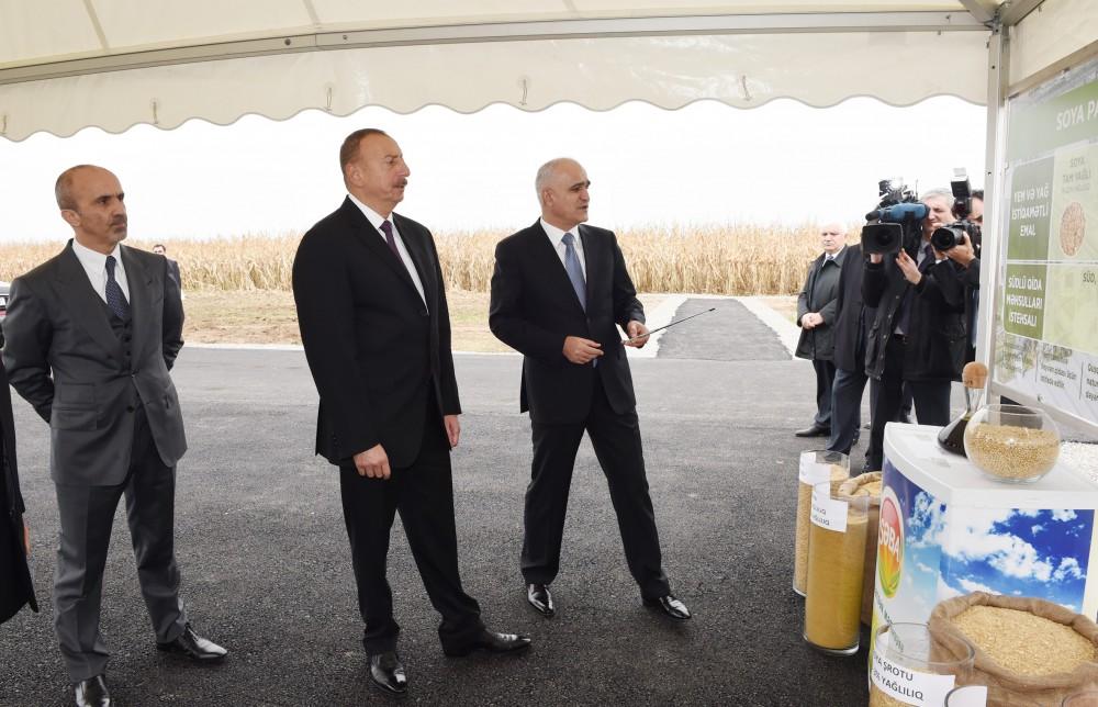 Ilham Aliyev visits “Qarabag Taxil” LLC pilot grain farm in Beylagan