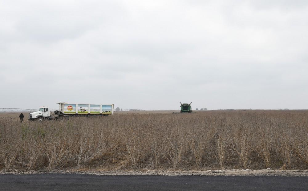Ilham Aliyev visits “Qarabag Taxil” LLC pilot grain farm in Beylagan