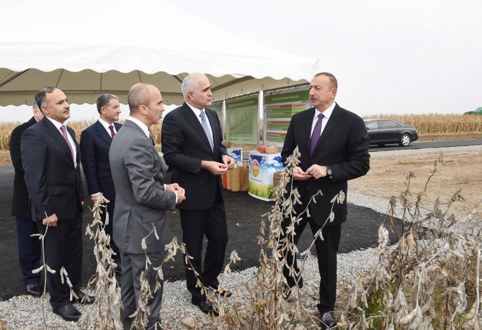 Ilham Aliyev visits “Qarabag Taxil” LLC pilot grain farm in Beylagan