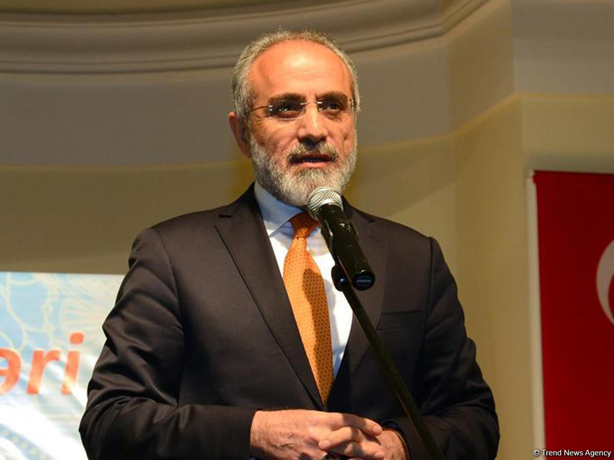Turkic-speaking countries becoming stronger every day - presidential advisor