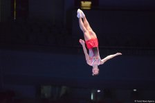 FIG World Cup qualifications in Baku (PHOTOS)