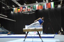 Training session held for FIG World Cup in Baku (PHOTO)