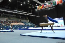Training session held for FIG World Cup in Baku (PHOTO)