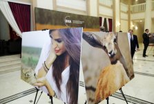 Leyla Aliyeva attends presentation of “Azerbaijan. Saving gazelles” documentary (PHOTO)