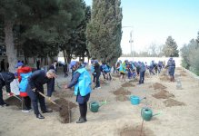Heydar Aliyev Foundation VP Leyla Aliyeva launches ‘School Gardens’ project