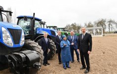 President Aliyev visits cotton plantation in Giragli village (PHOTO)