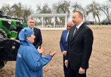 President Aliyev visits cotton plantation in Giragli village (PHOTO)