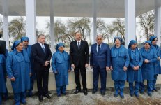 President Aliyev visits cotton plantation in Giragli village (PHOTO)