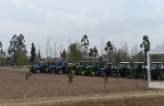 President Aliyev visits cotton plantation in Giragli village (PHOTO)