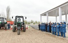 President Aliyev visits cotton plantation in Giragli village (PHOTO)