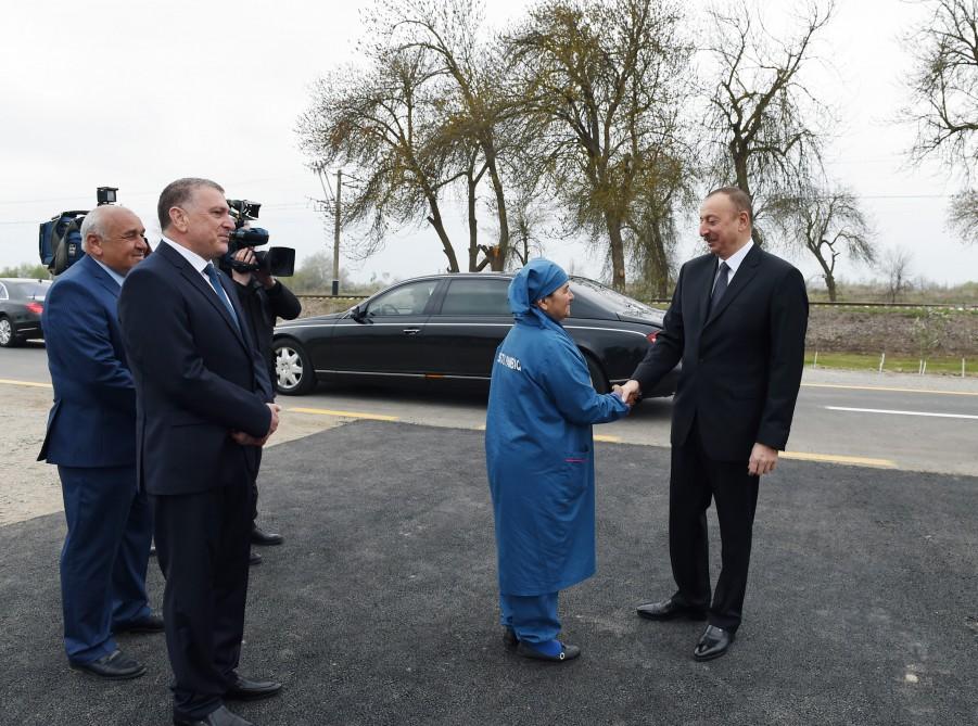 President Aliyev visits cotton plantation in Giragli village (PHOTO)