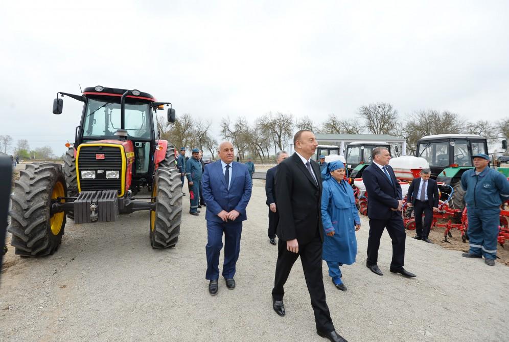 President Aliyev visits cotton plantation in Giragli village (PHOTO)