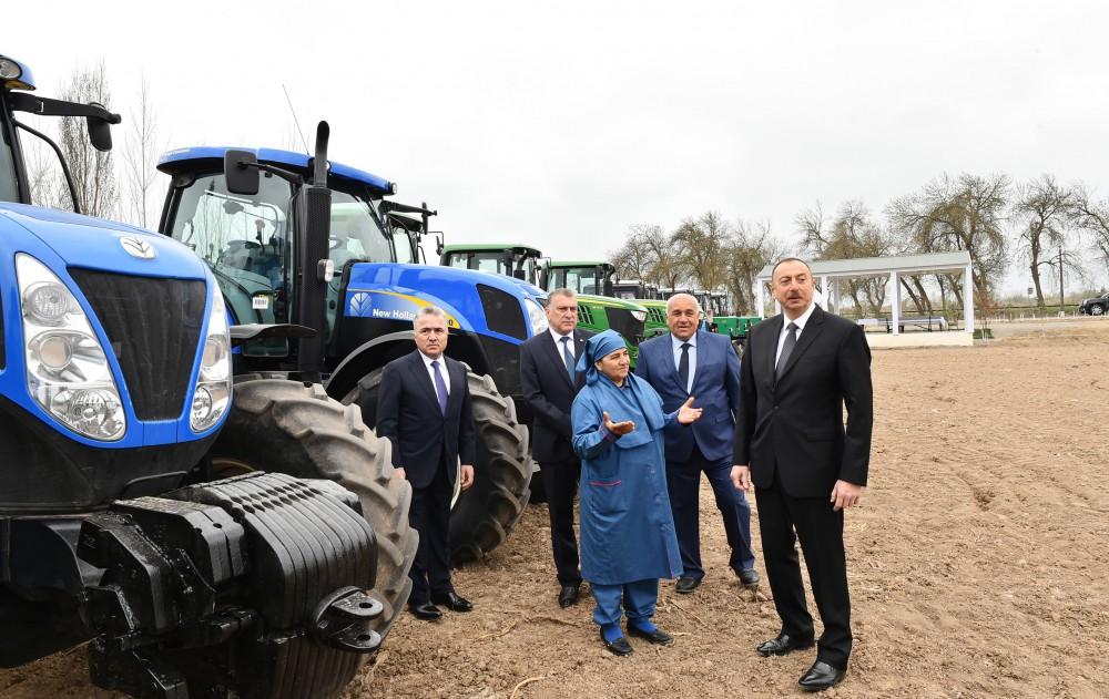 President Aliyev visits cotton plantation in Giragli village (PHOTO)
