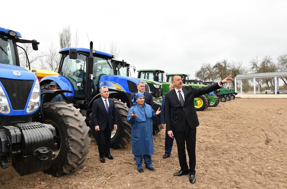 President Aliyev visits cotton plantation in Giragli village (PHOTO)