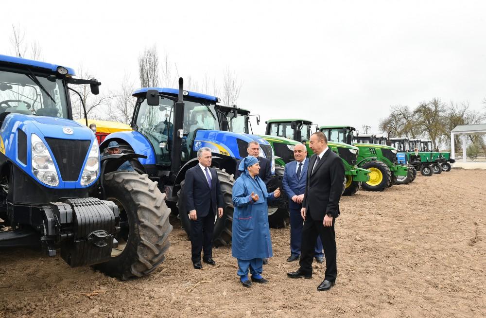 President Aliyev visits cotton plantation in Giragli village (PHOTO)