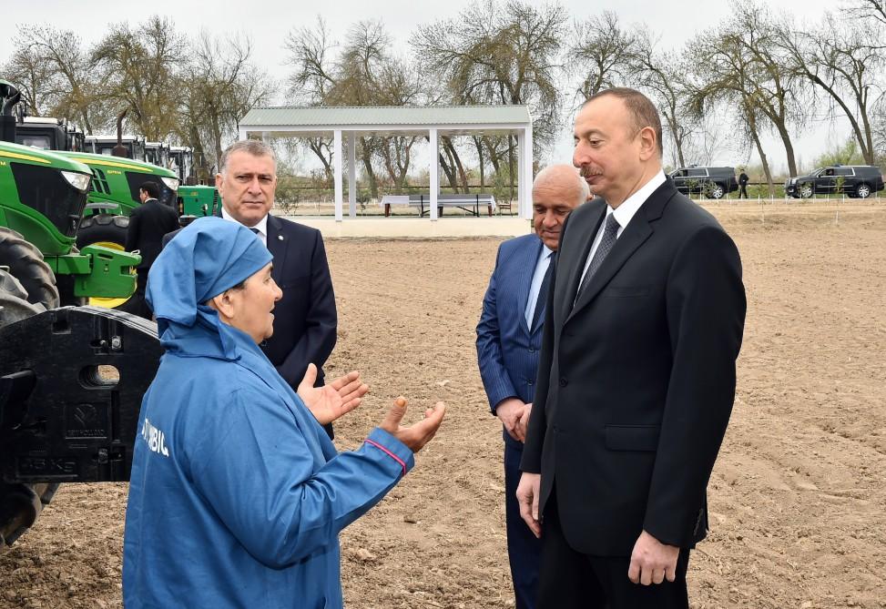 President Aliyev visits cotton plantation in Giragli village (PHOTO)