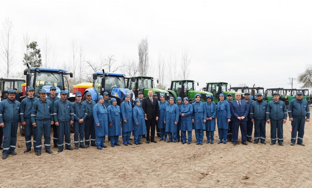 President Aliyev visits cotton plantation in Giragli village (PHOTO)