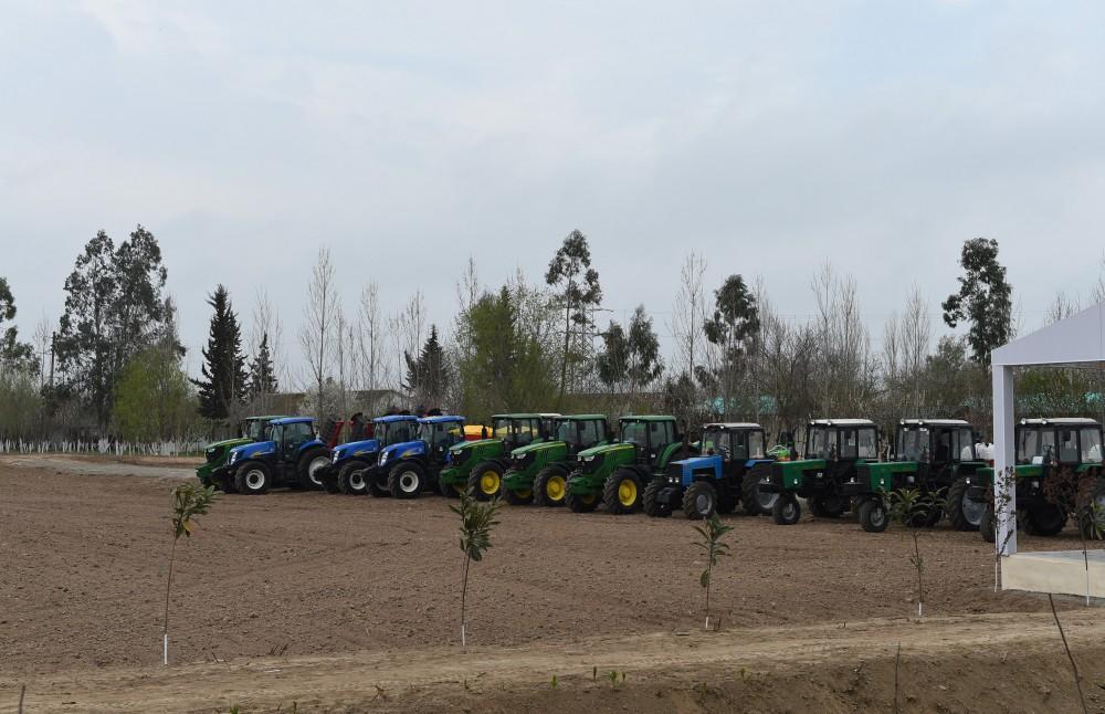 President Aliyev visits cotton plantation in Giragli village (PHOTO)