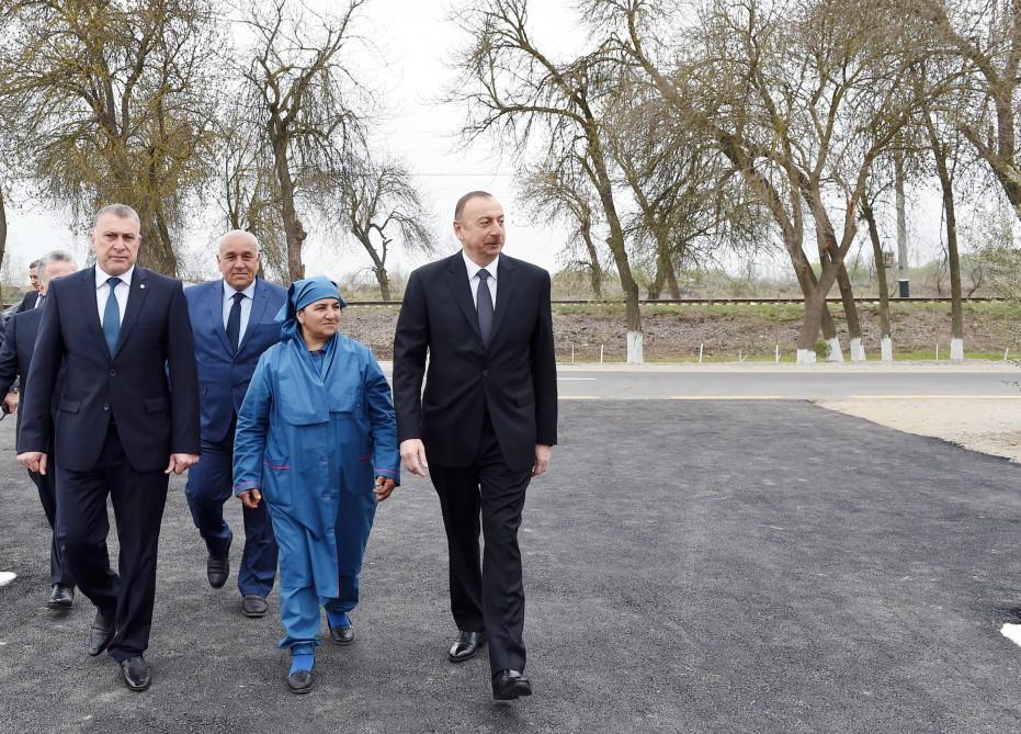 President Aliyev visits cotton plantation in Giragli village (PHOTO)