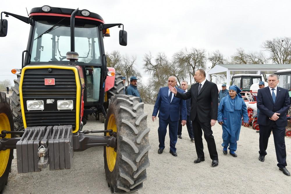 President Aliyev visits cotton plantation in Giragli village (PHOTO)