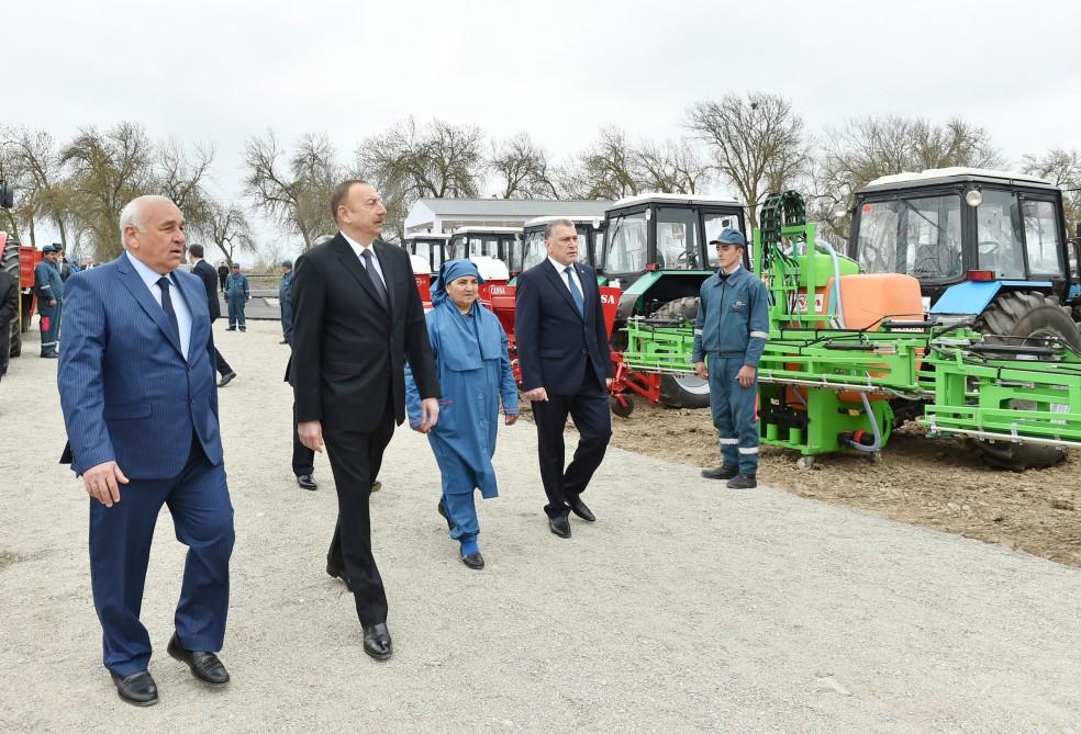 President Aliyev visits cotton plantation in Giragli village (PHOTO)