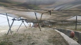 Azerbaijan, Turkey continue joint live-fire tactical drills (PHOTO)