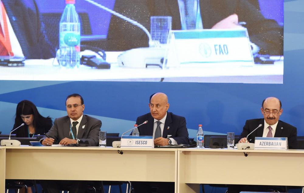 First VP Mehriban Aliyeva: Being a member of both Islamic and European organizations, Azerbaijan unites values of multiple civilizations (PHOTO)