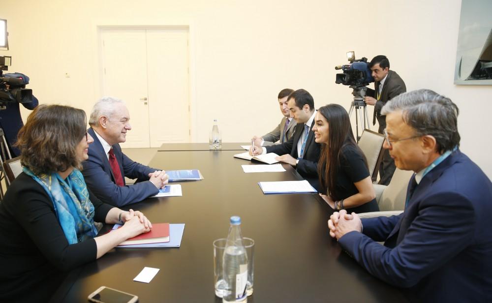 Heydar Aliyev Foundation VP Leyla Aliyeva meets with FAO officials (PHOTO) (UPDATE)
