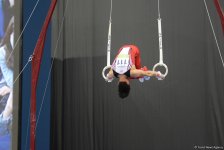 Baku 2017: Artistic gymnastics competitions kick off (PHOTO)