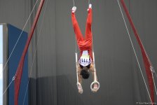 Baku 2017: Artistic gymnastics competitions kick off (PHOTO)