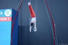 Baku 2017: Artistic gymnastics competitions kick off (PHOTO)