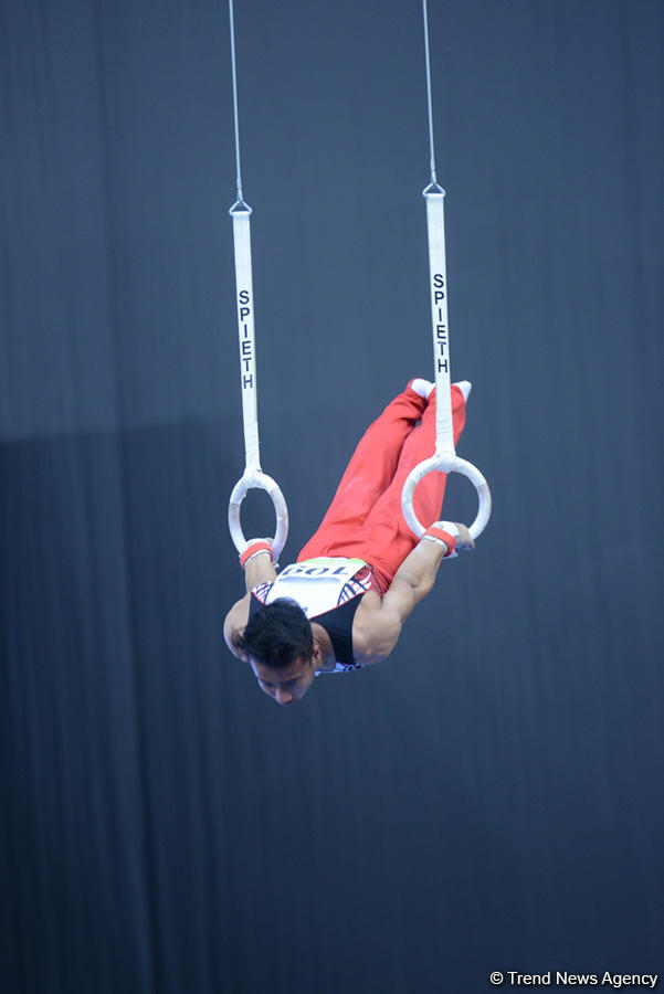 Baku 2017: Artistic gymnastics competitions kick off (PHOTO)