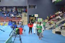 Baku 2017 karate competitions (PHOTO)