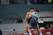 Wrestling at Baku 2017 in photos