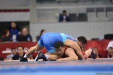 Wrestling at Baku 2017 in photos