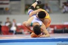 Baku 2017 freestyle wrestling competitions in photos