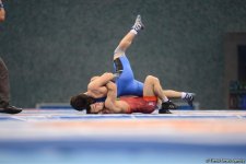 Baku 2017 freestyle wrestling competitions in photos