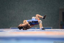 Baku 2017 freestyle wrestling competitions in photos