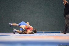 Baku 2017 freestyle wrestling competitions in photos