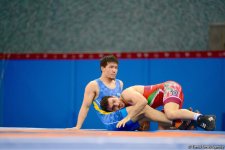 Baku 2017 freestyle wrestling competitions in photos