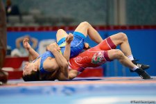 Baku 2017 freestyle wrestling competitions in photos