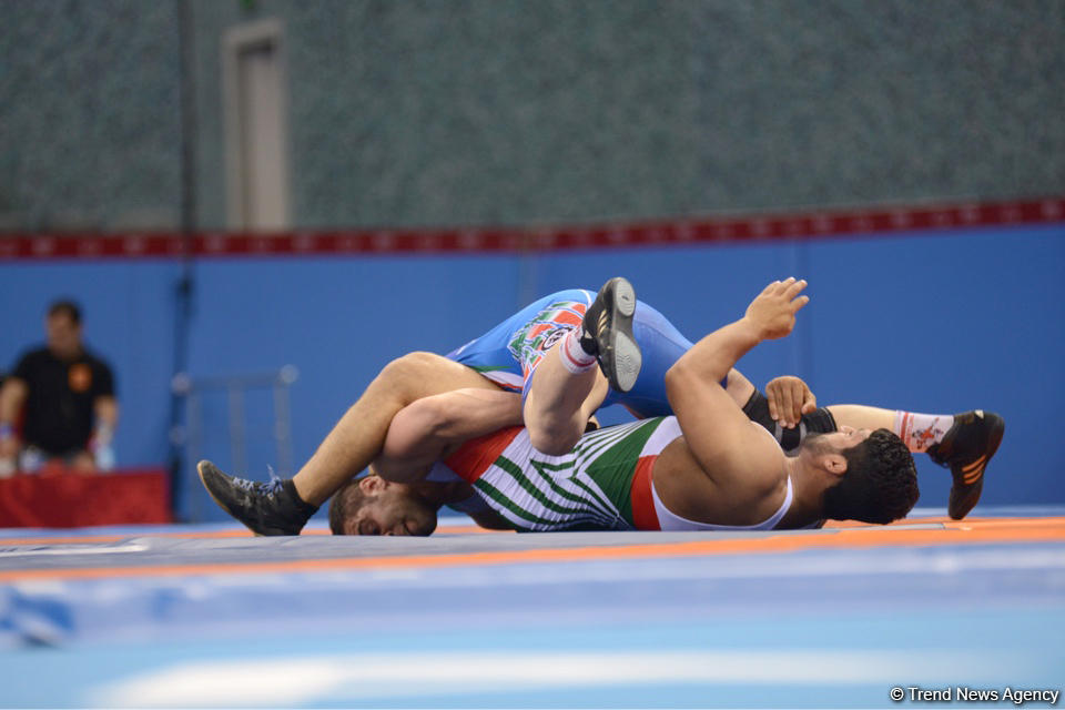 Baku 2017 freestyle wrestling competitions in photos