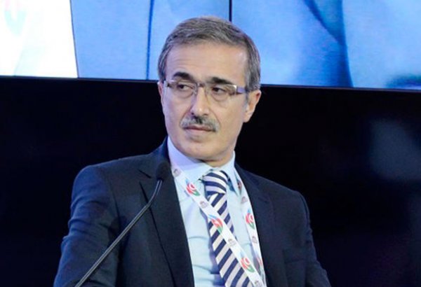 Turkey willing to manufacture defense products jointly with Azerbaijan - Turkish Defense Industry Committee
