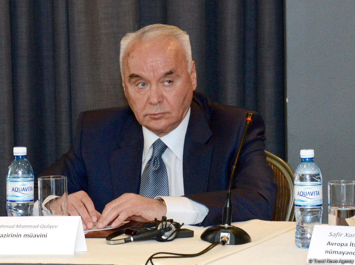 Deputy FM on Azerbaijan-EU Visa cancellation