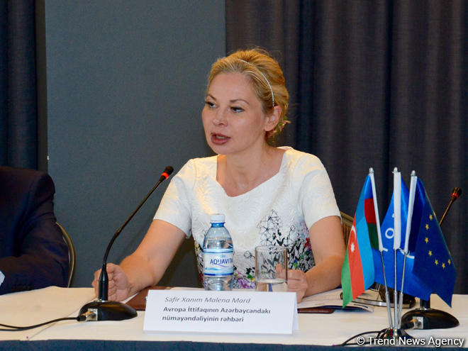 Mard: EU-Azerbaijan co-op on combating human trafficking crucial