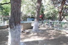 Baku Zoo to undergo reconstruction at Leyla Aliyeva’s initiative (PHOTO)