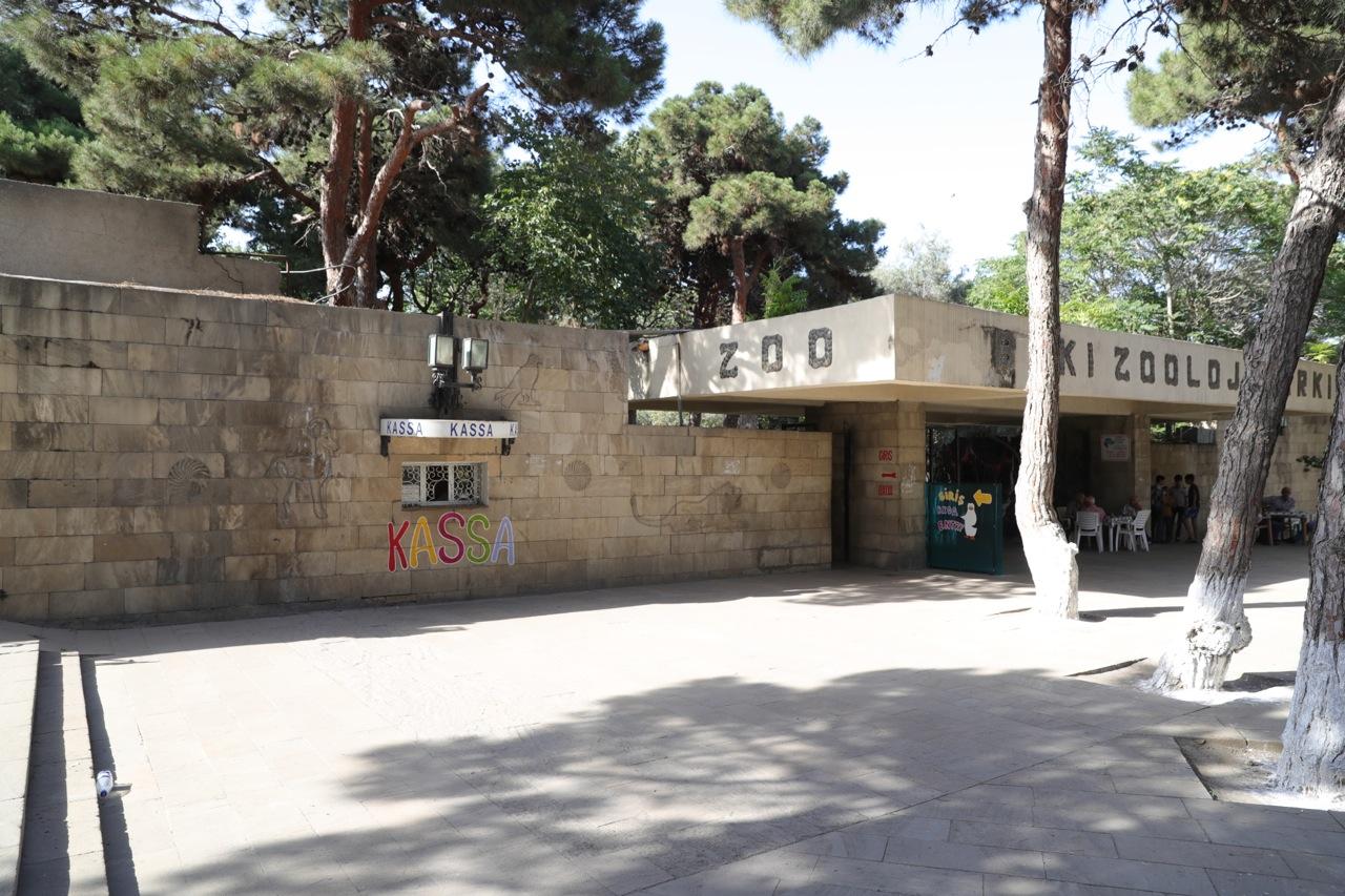 Baku Zoo to undergo reconstruction at Leyla Aliyeva’s initiative (PHOTO)