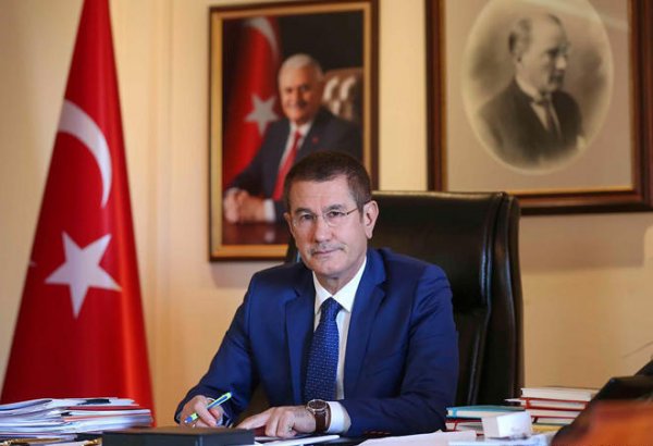 Turkey discloses number of servicemen killed during Operation Olive Branch